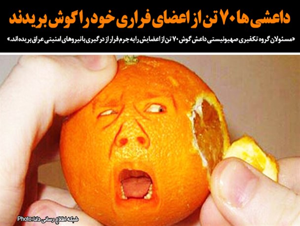 عکس‌نوشت/داعشی‌ها به جان خود افتادند