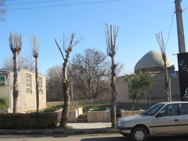 شروع هرس درختان در نمین