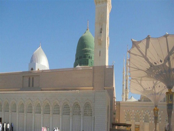 والاترین معنای کامل+تصاویر