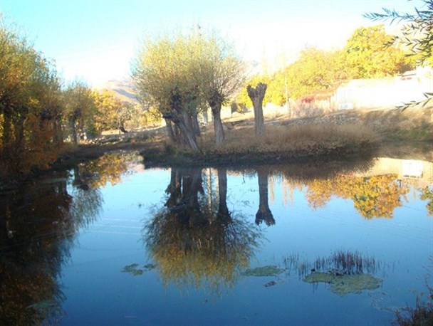 زیبایی های فصل پاییز در شهمیرزاد + تصاویر