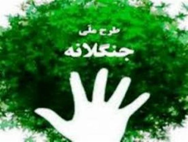 طرح جنگلانه در گردنه بیدسرخ اجرا می شود/ طرح جنگلداری اقتصادی در روستاها