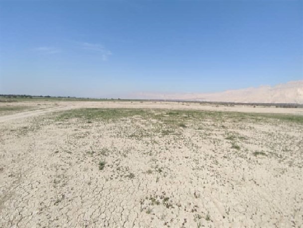 رفع تصرف ۴۴ هکتار از اراضی ملی و دولتی در شهرستان پارسیان