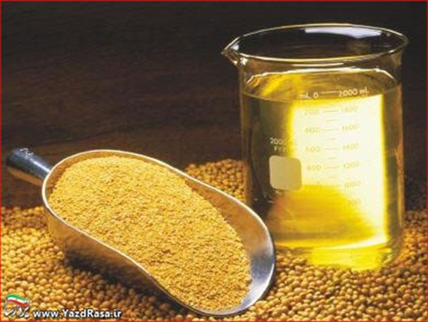 استان یزد قطب صنعتی محصولات باارزش کنجدی ایران/ از مصرف غذاهای شور و سرخ شده بپرهیزید