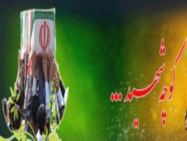 کوچه های شهر به عکس و زندگی نامه نامه شهدا مزین می شوند