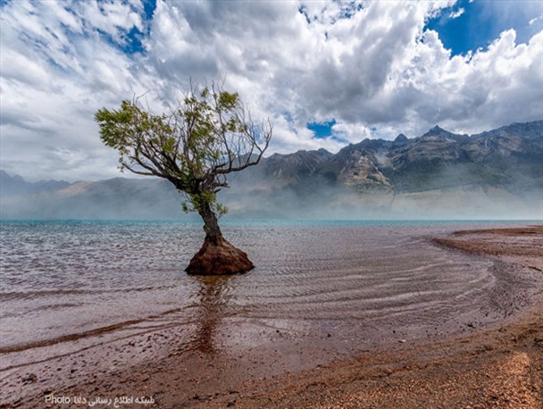 زیباترین تصاویر روز