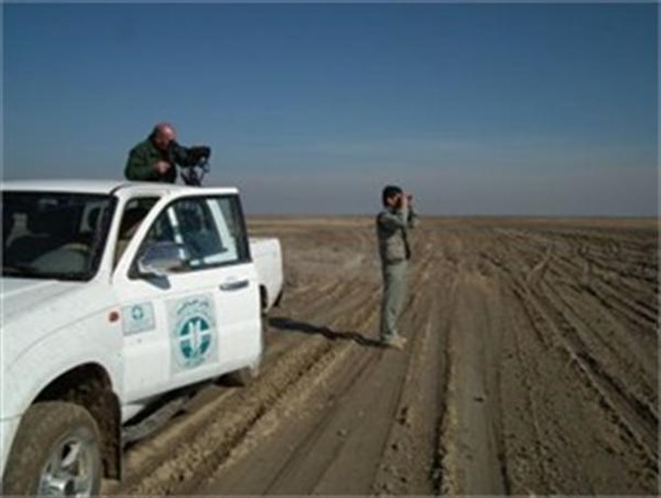سرشماری زمستانه پرندگان آبزی و کنار آبزی در میاندوآب