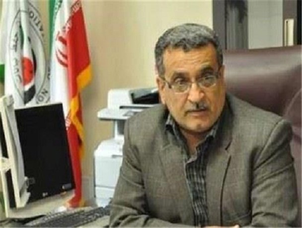 درآمد ۲۴۳ میلیارد تومانی حاصل از کشت زیتون در کشور