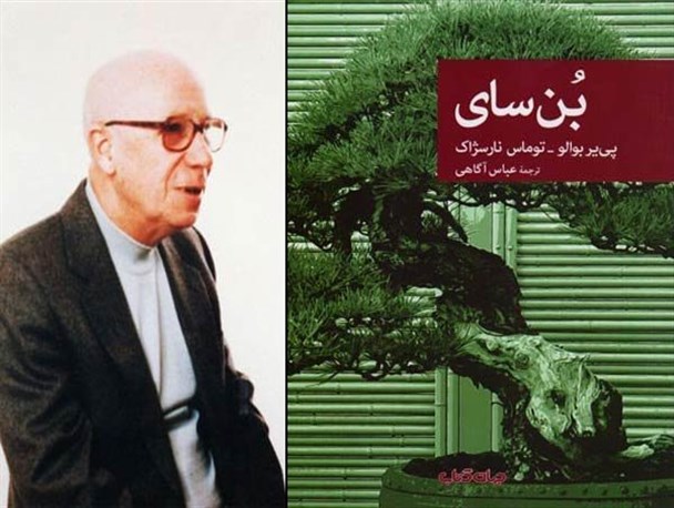 پیچیدگی ظاهر و سادگی باطن/ کلنجار رفتن فلسفی با مفهوم درد