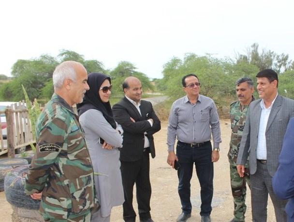 امکانات لازم برای رفاه حال گردشگران در جنگل علی آباد دلوار مهیا می شود