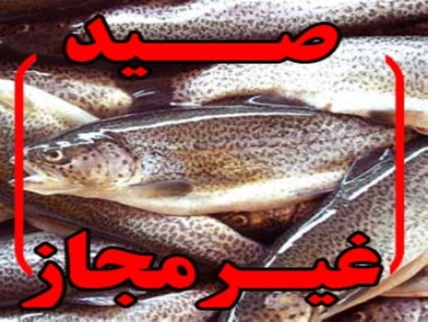 شکارچیان متخلف صید ماهی در تور محیط بانان بوکانی