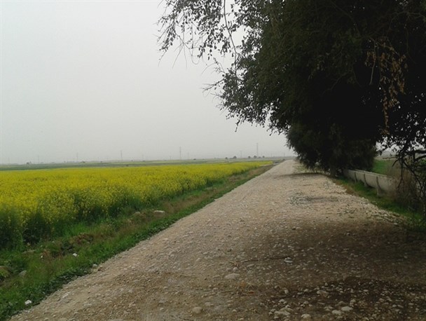 طبیعت زیبای بهاری در استان چهارفصل کهگیلویه و بویراحمد+تصاویر