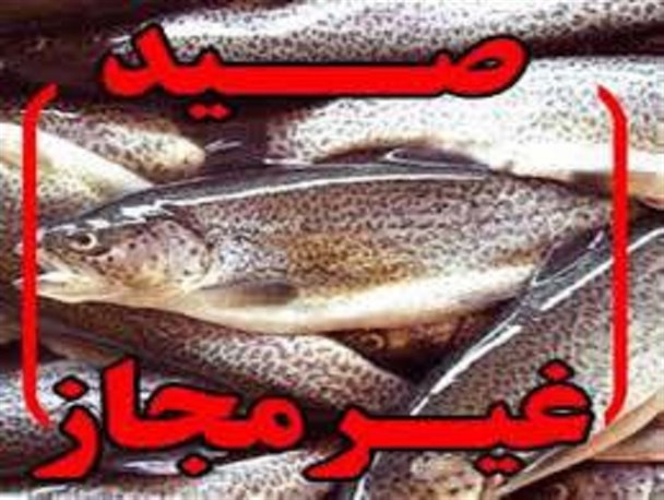 کشف و ضبط ۸۰ کیلوگرم ماهی و صدها متر تور ماهیگیری از متخلفین صید غیرمجاز