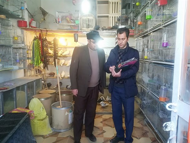 اقدامات پیشگیرانه جهت مقابله با آنفلوآنزای فوق حاد پرندگان  انجام شد