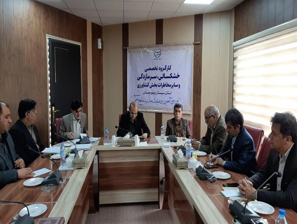 ۱۸۰میلیارد ریال اعتبار لازمه مبارزه با ملخ صحرایی در سیستان وبلوچستان