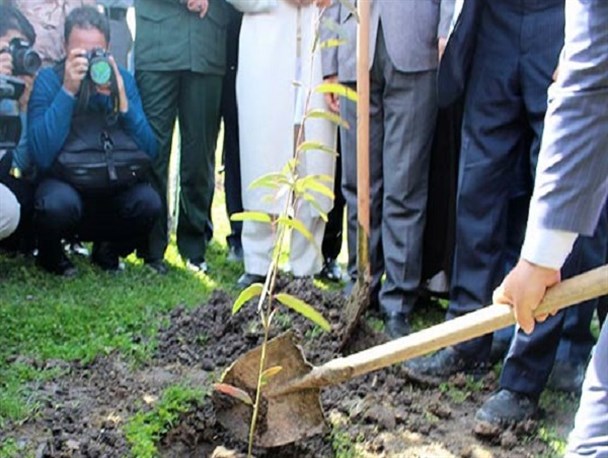 بوستان ۴ هزار شهید گلستان خشکید/ قول احیاء این بوستان توسط منابع طبیعی گلستان