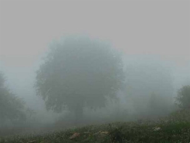 11 نفر گرفتار شده در برف و کولاک در جنگل ابر شاهرود نجات یافتند