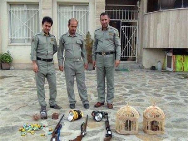 شکارچیان متخلف کبک در کوسالان شکار شدند