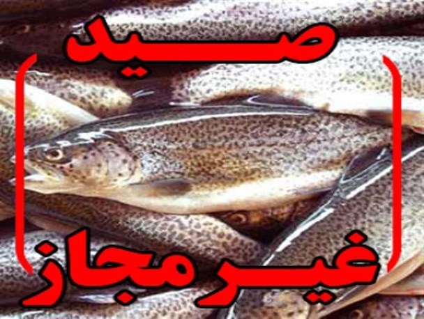 چهار صیاد متخلف در بروجرد دستگیر شد