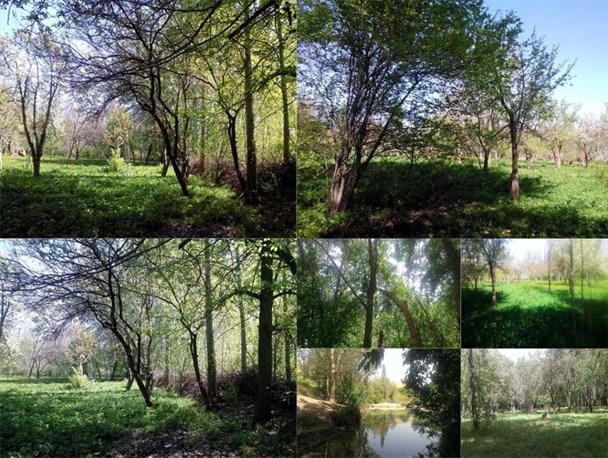 سهرورد،سرزمینی ناشناخته با طبیعتی بکر،مکانی مناسب برای مسافران نوروزی+تصاویر