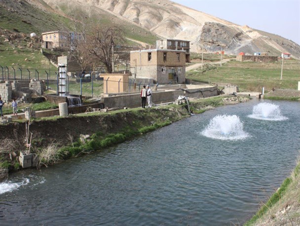 دسترنج تلاش ، کوشش و خستگی ناپذیری “رفاه و آسایش” است