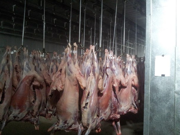 نصب لیبل بر روی انواع گوشت نشان دهنده سلامتی و نوع کیفیت گوشت می باشد