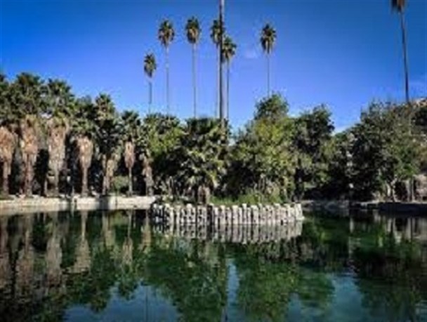 نگین جنوب کشور میزبان مسافران نوروزی/ افزایش گردشگران غیربومی در چشمه بلقیس چرام+تصاویر