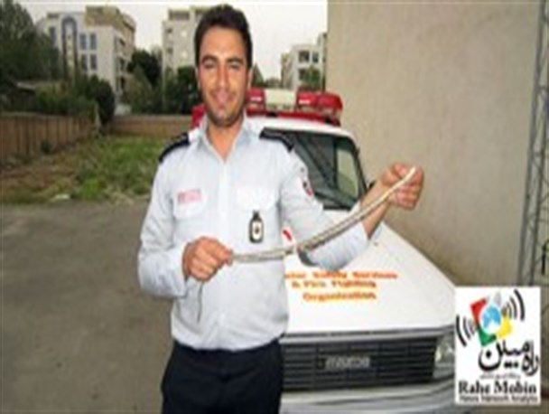 وحشت مغازه دار از دیدن مار یک متری در شهریار