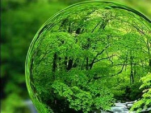 جایگزینی نهال های سبز به جای نهال های خشک در اردکان+تصاویر