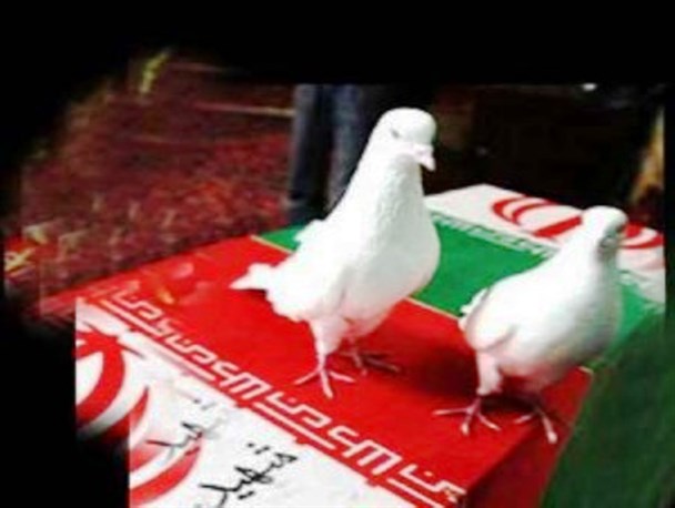 مادر شهید «مرتضی نوایی» به دیدار فرزندش شتافت