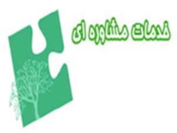 خدمات مشاوره ای موجب توانمندی در حوزه اجتماعی خواهد شد