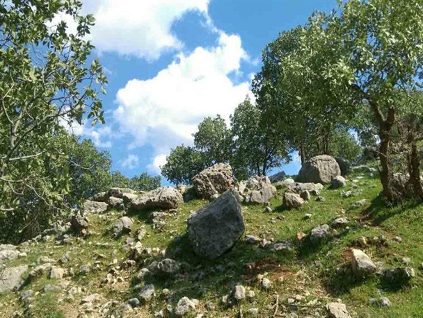 منطقه کوهشور، طبیعتی بکر در نزدیکی ایذه + تصاویر