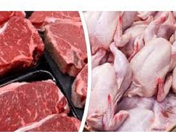 عدم مدیریت جوجه‌ریزی و افزایش قیمت نهاده‌های دامی دلیل گرانی گوشت/ آدرس غلط برخی مدیران برای لاپوشانی ناکارآمدی‌ها