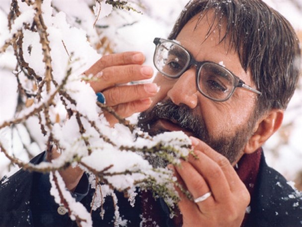 سایه «بید مجنون» بر سر آی فیلم