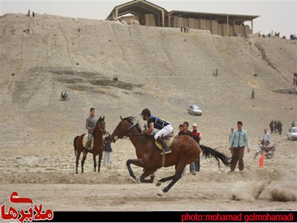 مسابقات کورس بهاره اسب دوانی استان همدان برگزار شد+تصاویر