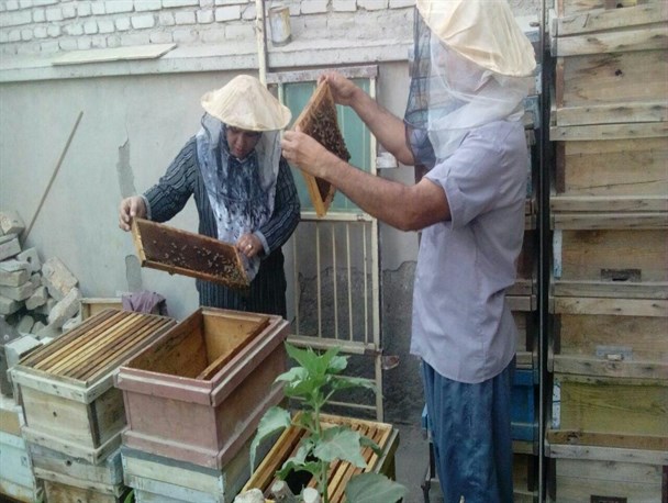 زوج زنبوردار ایرانشهری از نگاه دوربین
