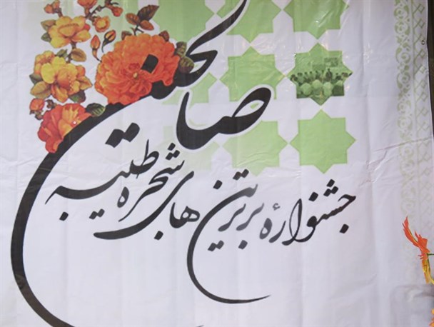 اولین جشنواره برترین های صالحین در بردسکن برگزار شد