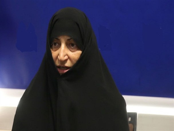 دولت در اجرای قانون ۹ ماه مرخصی زایمان پیش قدم نبود/ مجلس دهم پیگیر اجرای سیاستهای جمعیتی باشد