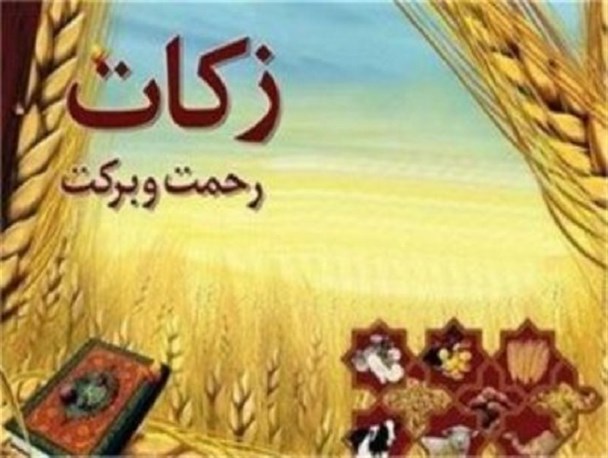 جمع آوری ۱۲ هزار تن زکات گندم از کشاورزان ایرانشهر
