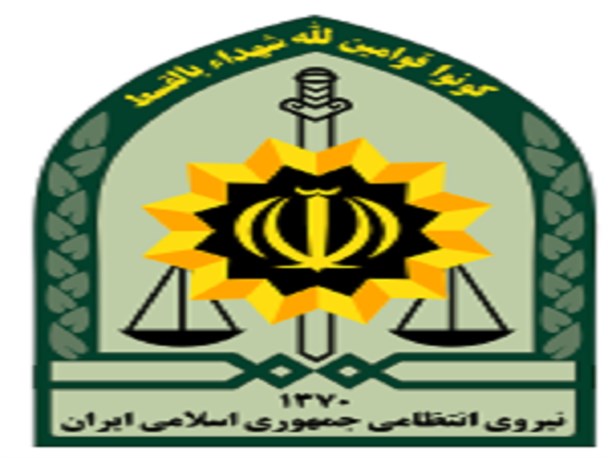 ناجا به‌صورت خودسر عمل نمی‌کند/برخورد با متکدیان نیازمند دستور قضائی است