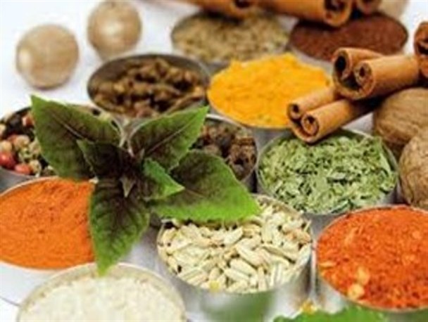وجود 700 نوع گیاه دارویی در مزارع و مراتع کوثر و خلخال/داروهای مشابه خارجی 7 برابر قیمت تولید داخلی را دارند!