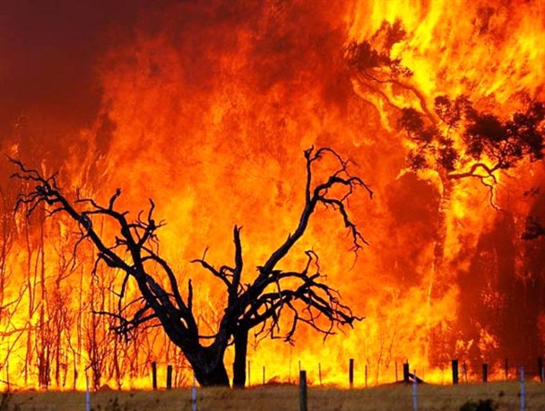 شعله های آتش در جنگل های کهگیلویه و بویراحمد زبانه کشید