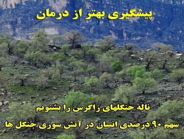 ناله جنگلهای زاگرس را بشنویم/ سهم ۹۰ درصدی انسان در آتش سوزی جنگل ها