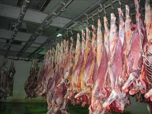 کشف گوشت قرمز تاریخ گذشته در یک واحد قصابی