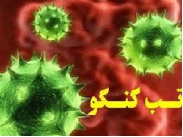 بیماری تب کنگو در دامهای آلوده نشانه مشخصی ندارد/مردم باید از مراکز معتبر گوشت تهیه کنند