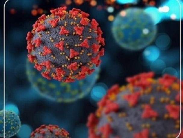 ابتلای ۱۲۳ هزار شیرازی به کووید۱۹ از ابتدای شیوع تاکنون/ صدای ناقوس مرگ بر اثر کرونا در پارک‌های بازی شهر شنیده می‌شود+فیلم