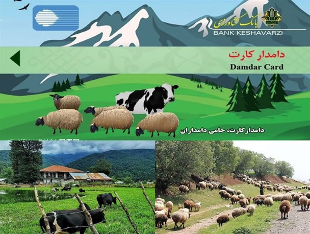 ناهماهنگی جهاد کشاورزی استان و بانک کشاورزی در صدور دامدار کارت/ تسهیلاتی که به دست دامداران نمی رسد