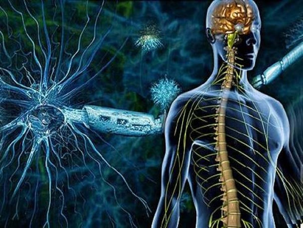 بیش از ۷۰ درصد مبتلایان به ام‌اس در استان زنجان خانم‌ها هستند/ بیمه‌ها تنها ۵۰ درصد از داروهای بیماران "ام اس" را پوشش می‌دهند