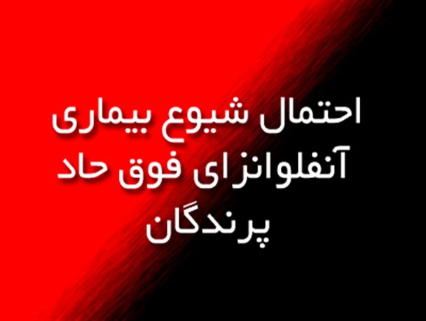 احتمال شیوع نوع جدیدی از آنفلوآنزای مرغی در آذربایجان غربی