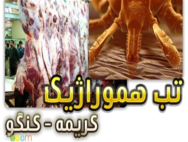 تب کریمه کنگو را بیشتر بشناسید