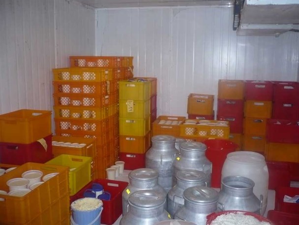 خطر افزایش قارچ گونه مراکز عرضه لبنیات غیربهداشتی سنتی